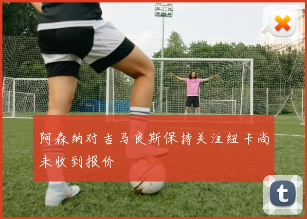 阿森纳对吉马良斯保持关注纽卡尚未收到报价